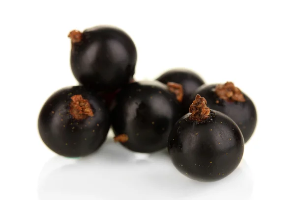 Beyaz izole taze Siyah frenk üzümü — Stok fotoğraf