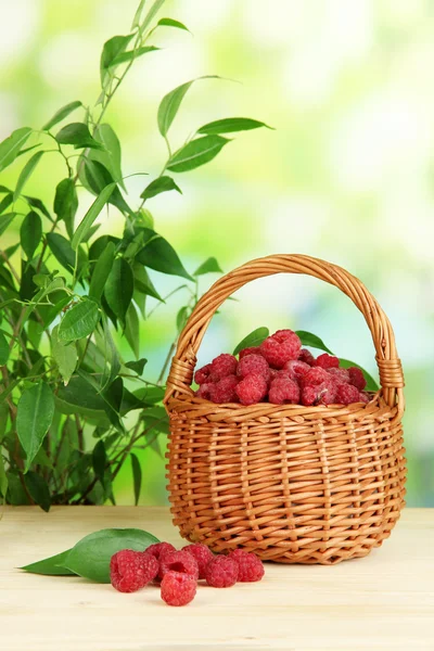 Ripe raspberries in basket on wooden table on natural background — Stock Photo, Image