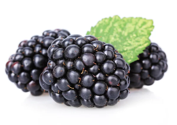 Aislamiento de moras dulces sobre blanco — Foto de Stock