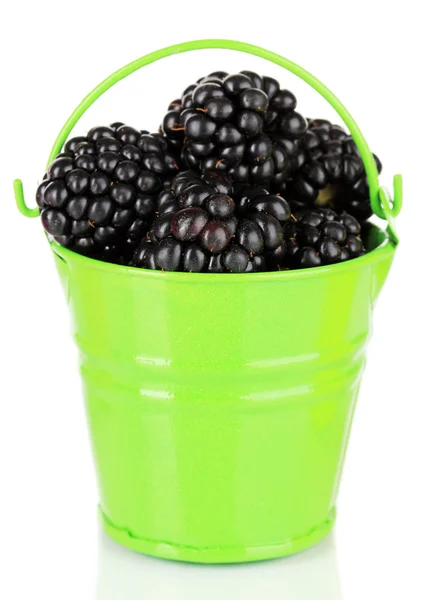 Sweet blackberries in bucket isolate on white — Stock Photo, Image