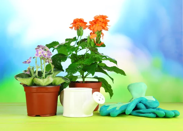 Tencere doğal zemin üzerine ahşap masa üzerine güzel çiçekler