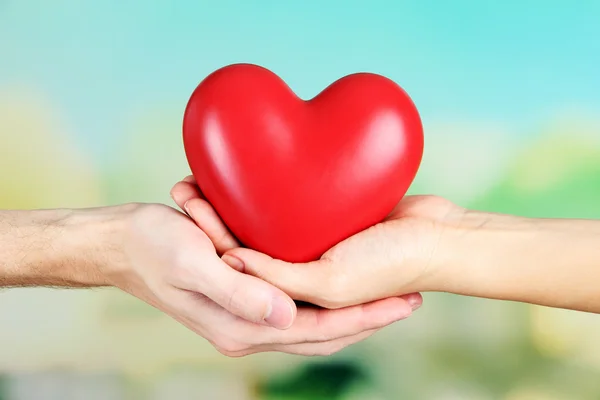 Heart in hands on nature background — Stock Photo, Image