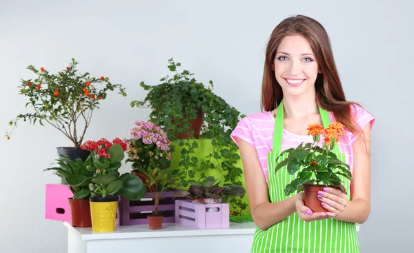 Mooi meisje tuinman met bloemen op grijze achtergrond — Stockfoto