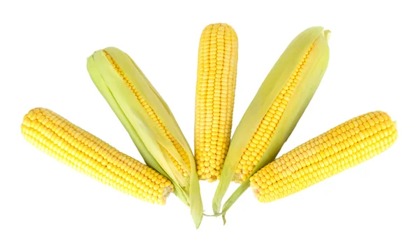 Сирі кукурудзи ізольовані на білому — стокове фото