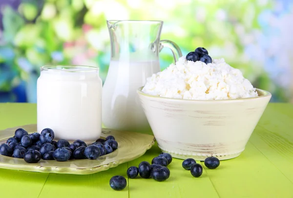 Frische Milchprodukte mit Blaubeeren auf Holztisch vor natürlichem Hintergrund — Stockfoto