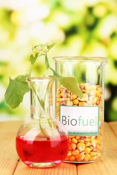 Photo conceptuelle du biocarburant. Sur fond lumineux — Photo