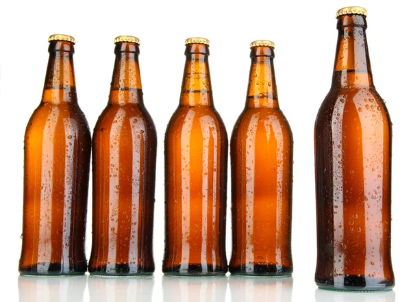 Bottiglie di birra isolate su bianco — Foto Stock