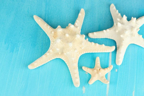 Étoiles de mer blanches sur table en bois bleu close-up — Photo