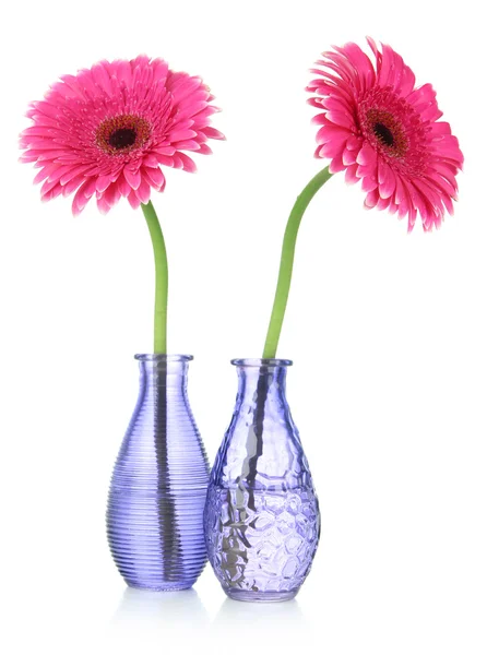 Beautiful pink gerbera flowers in vases isolated on white — Stock Photo, Image