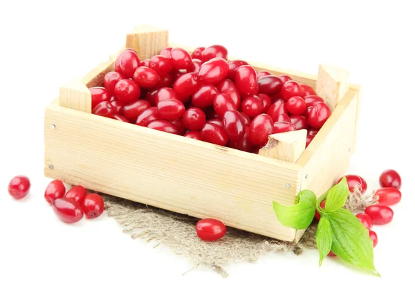 Fresh cornel berries in wooden crate, isolated on white — Stock Photo, Image