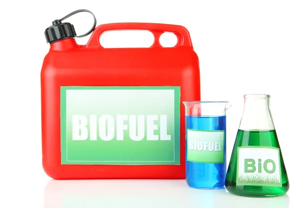 Biokraftstoffe in Kanistern und Fläschchen isoliert auf weiß — Stockfoto