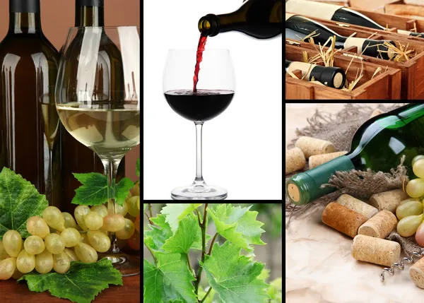 Collage av vin kompositioner — Stockfoto
