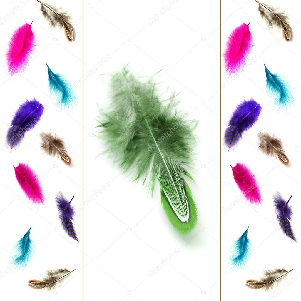 Collage of colorful decorative feathers, isolated on white