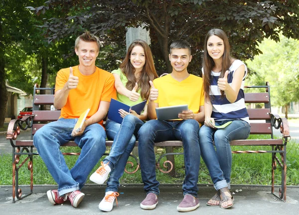 Feliz grupo de jóvenes estudiantes sentados en el parque —  Fotos de Stock