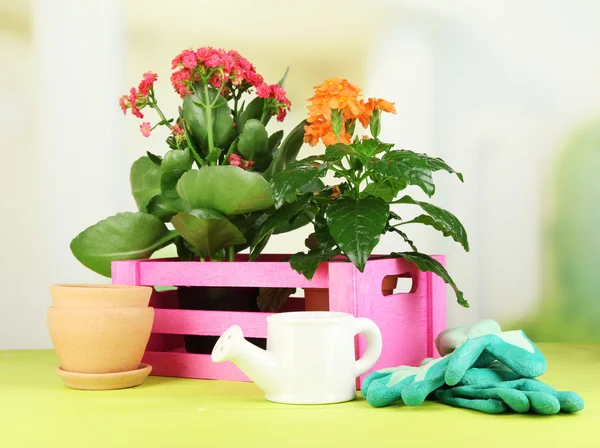 Beautiful flowers in pots on wooden table on natural background — Stock Photo, Image