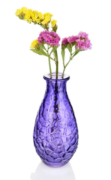 Schöne Sommerblumen in der Vase isoliert auf weiß — Stockfoto