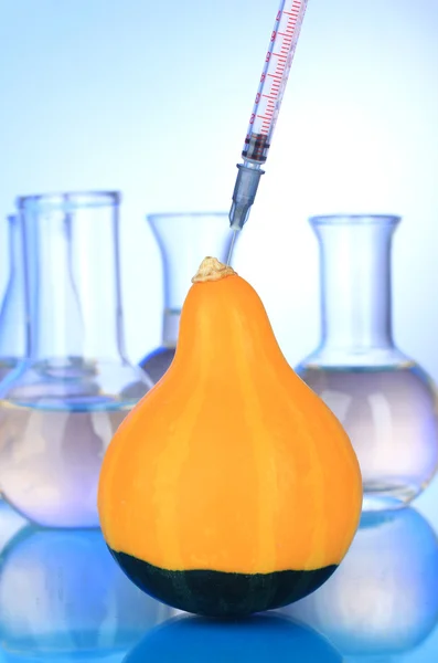 Injection into fresh pumpkin on blue background — Stock Photo, Image