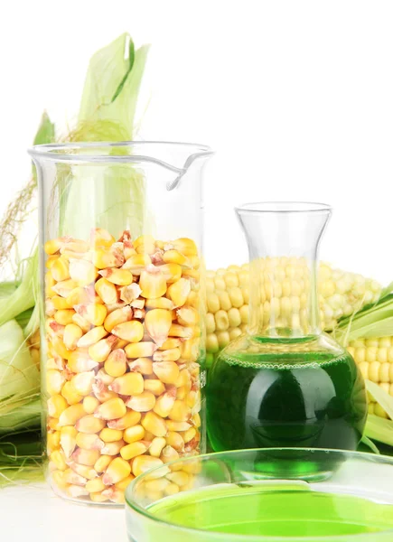 Conceptuele foto van bio-brandstof uit maïs. geïsoleerd op wit — Stockfoto