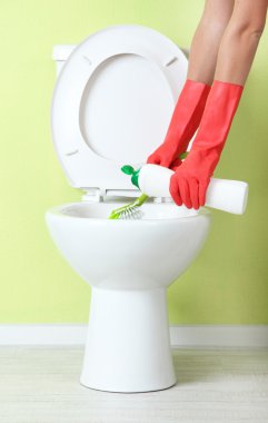 kadın el ile bir banyo klozet Temizleme sprey şişe