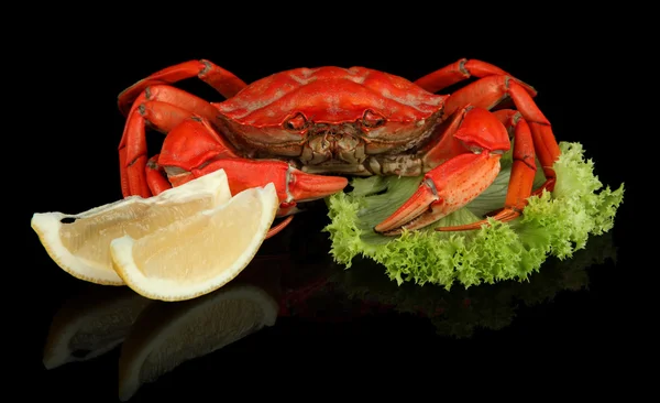 Boiled crabs isolated on black — Stock Photo, Image