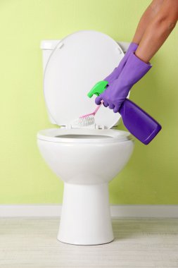 kadın el ile bir banyo klozet Temizleme sprey şişe