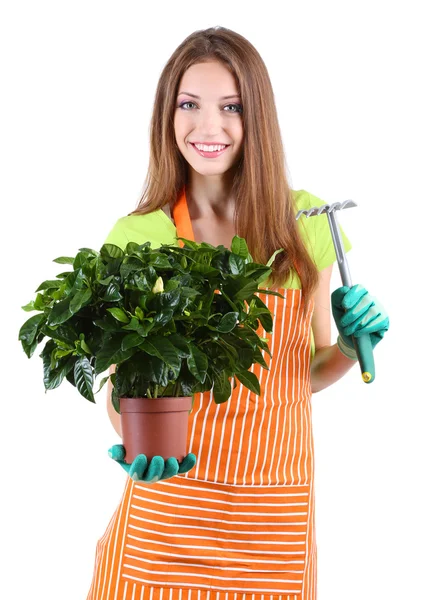 Beautiful girl gardener with flower isolated on white — Stock Photo, Image