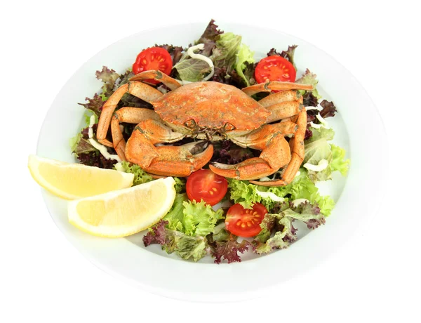 Cangrejo cocido en plato blanco con hojas de ensalada y tomates, aislado en blanco —  Fotos de Stock