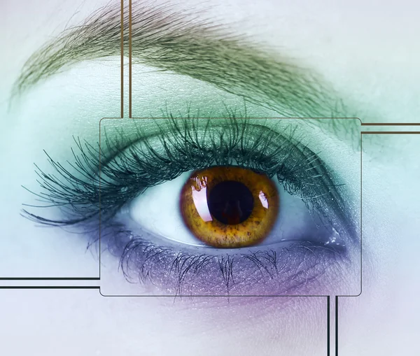 Beautiful woman's eye — Stock Photo, Image