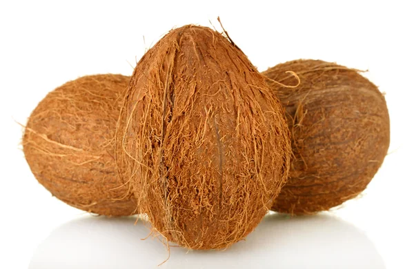 Kokosové ořechy izolované na bílé — Stock fotografie