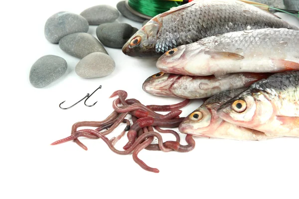 魚や釣り道具を白で隔離されます。 — ストック写真