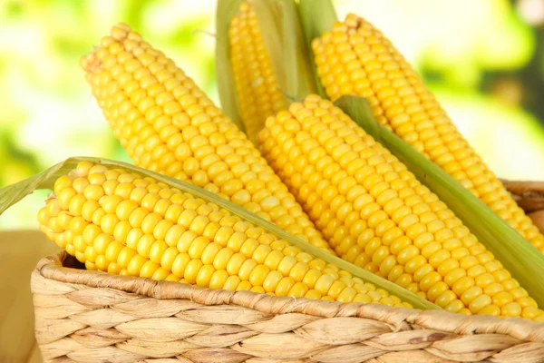 Crude corns in basket on nature background — Stock Photo, Image