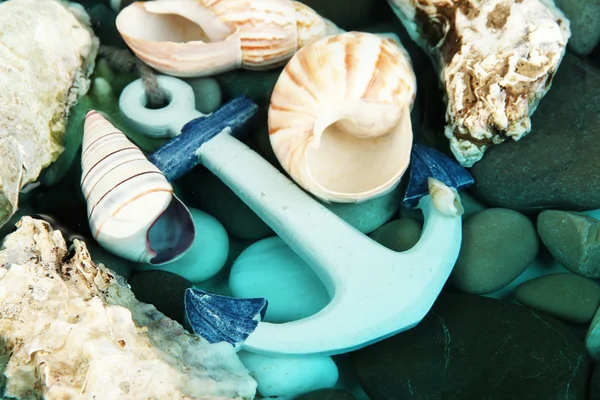 Fondo marino con conchas y piedras —  Fotos de Stock