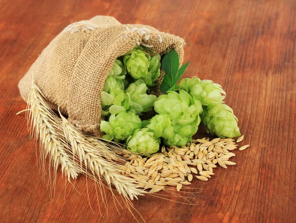 Fresh green hops in burlap bag and barley, on wooden background — Stock Photo, Image