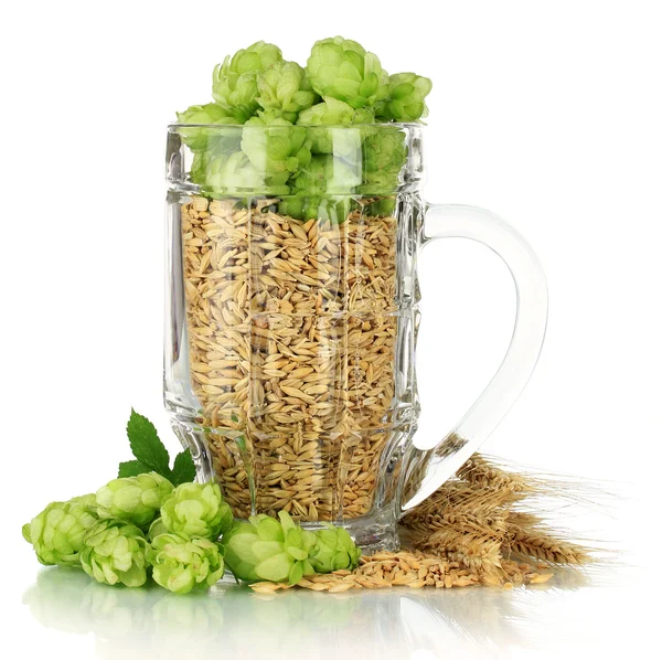 新鲜绿色的啤酒花和大麦，孤立在白色玻璃 — 图库照片