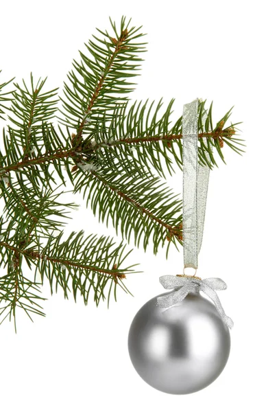 Çam ağacı, beyaz izole Noel topu — Stok fotoğraf
