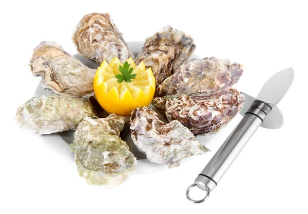 Oesters geïsoleerd op wit — Stockfoto