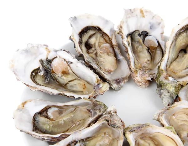 Oesters geïsoleerd op wit — Stockfoto