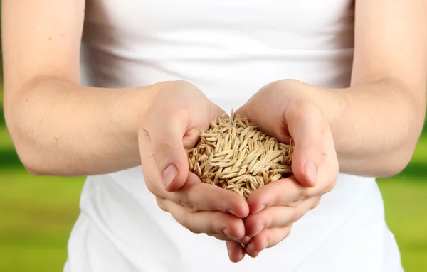 Wheat grain in female hands on natural background — Stock Photo, Image