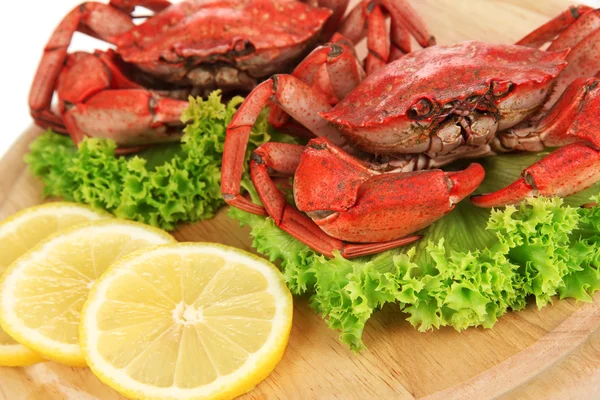 Gekookte krabben op houten bord, close-up — Stockfoto