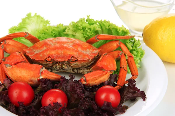 Caranguejo cozido em prato branco com folhas de salada e tomates, isolado em branco — Fotografia de Stock