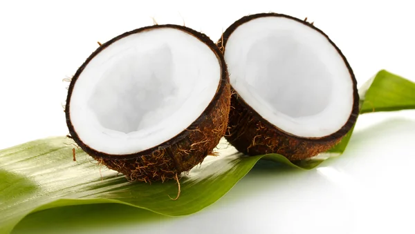 Kokosnusshälften mit grünem Blatt auf weißem Hintergrund Nahaufnahme — Stockfoto