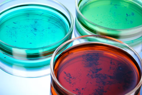 Color liquid in petri dishes on blue background — Stock Photo, Image