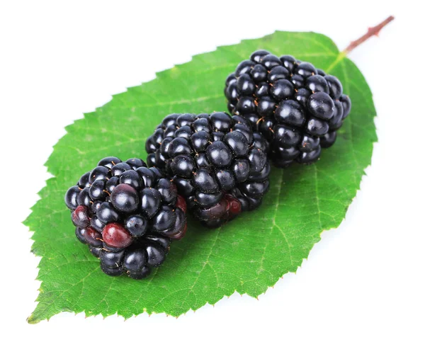 Süße Brombeeren isolieren sich auf weiß — Stockfoto