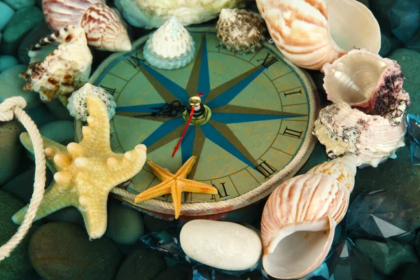 Часы на дне моря с раковинами и камнями — стоковое фото