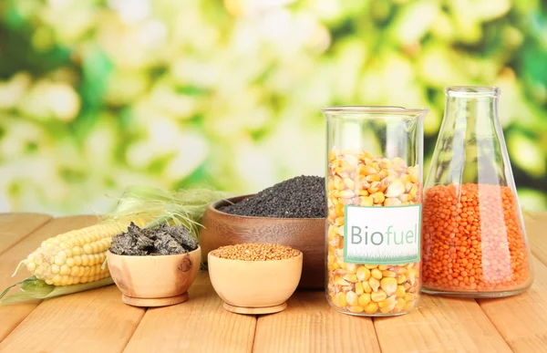 Conceptual photo of bio fuel. On bright background — Zdjęcie stockowe