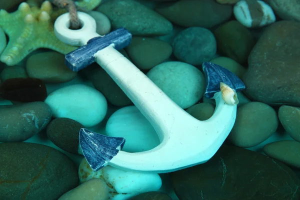 Zeebodem met schelpen en stenen — Stockfoto