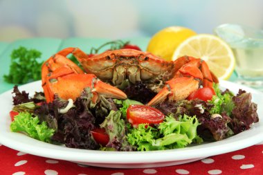 man stuurprogramma problemen op road wiel wijzigenhaşlama yengeç salata yaprakları ve domates, ahşap masa, parlak zemin üzerine beyaz plaka üzerinde