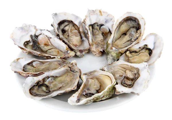 Oesters geïsoleerd op wit — Stockfoto