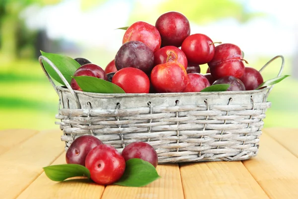 Prunes mûres dans le panier sur table en bois sur fond naturel — Photo