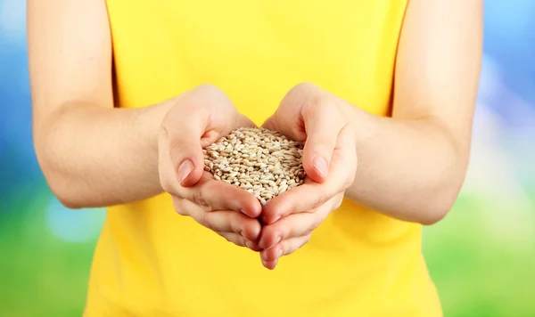 Wheat grain in female hands on natural background — Stockfoto